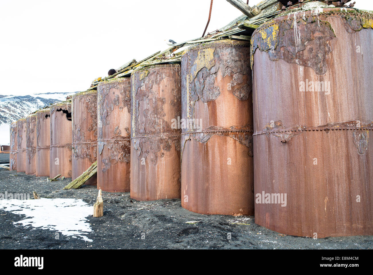 Olio di balena serbatoi, isola Deception, Antartide Foto stock - Alamy