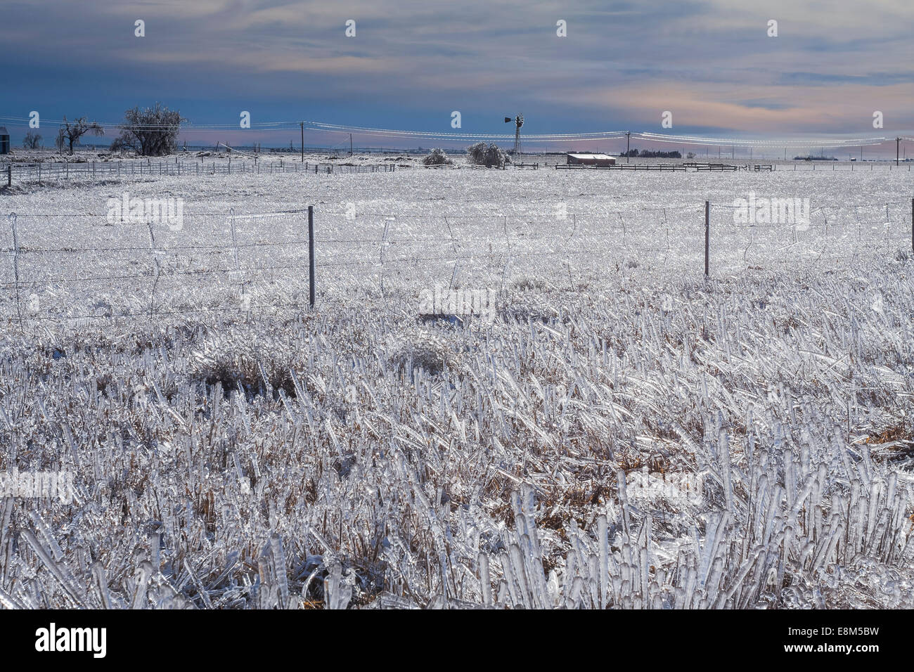 Intensa tempesta di ghiaccio slam south central Nebraska Dicembre 31, 2006. Alcune aree hanno ricevuto oltre 2 pollici dell'accumulo di ghiaccio. Foto Stock