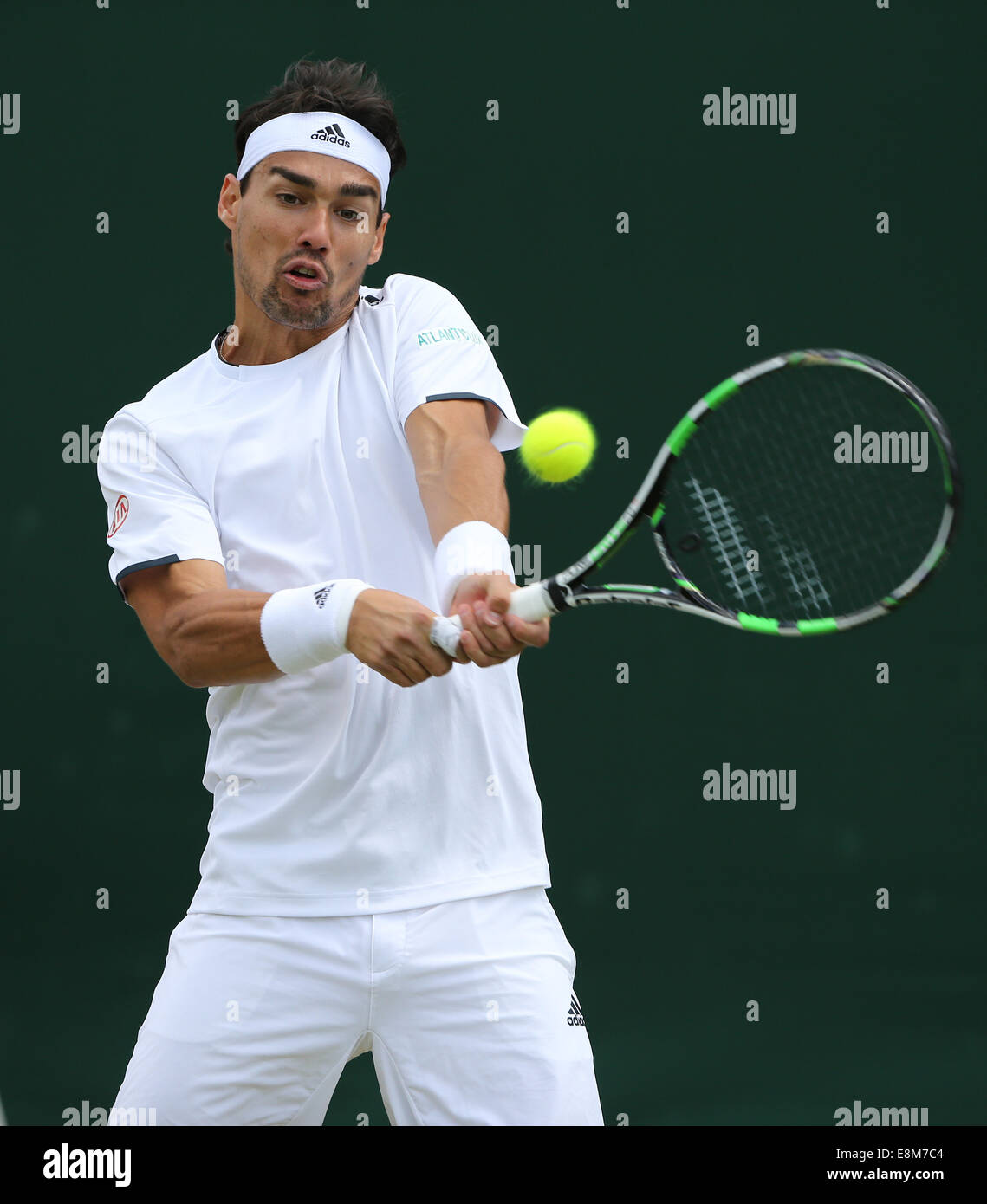 Fabio Fognini (ITA),campionati di Wimbledon 2014, Londra, Inghilterra. Foto Stock