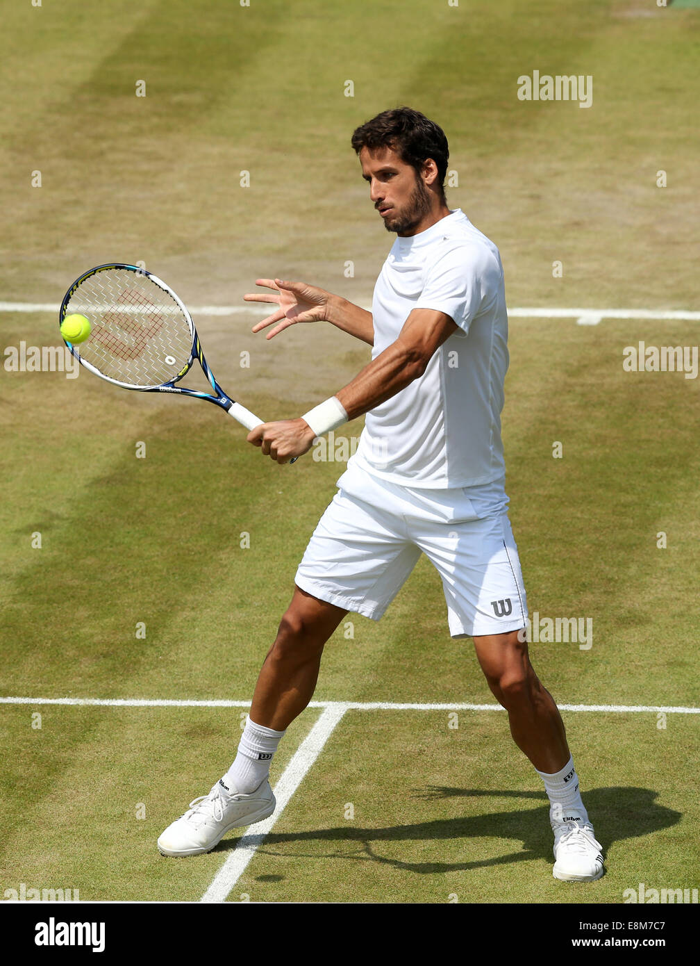 Feliciano Lopez (ESP),campionati di Wimbledon 2014, Londra, Inghilterra. Foto Stock