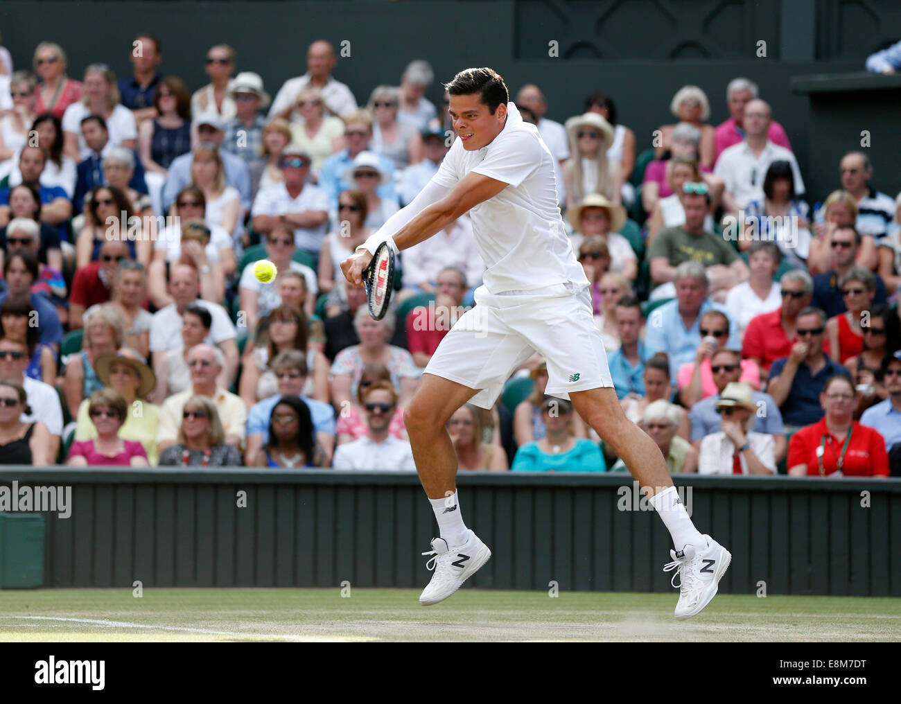 Milos Raonic (CAN),campionati di Wimbledon 2014, Londra, Inghilterra Foto Stock