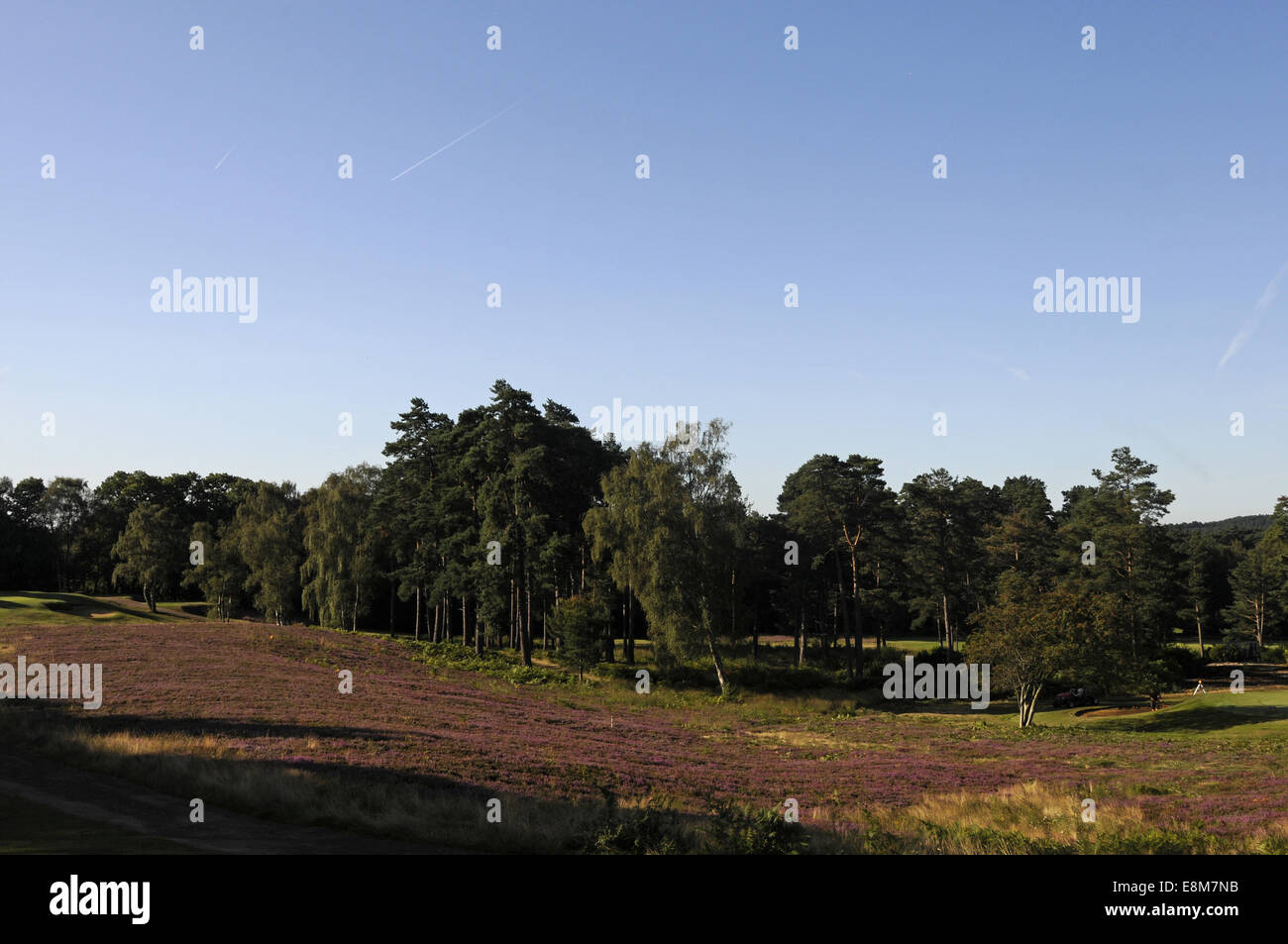 Vista dal primo tee sul Corso Blu Il Berkshire Golf Club Ascot Berkshire Inghilterra Foto Stock