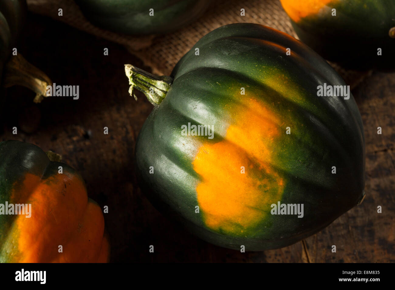 Materie organiche e Verde Arancione Acorn Squash Foto Stock