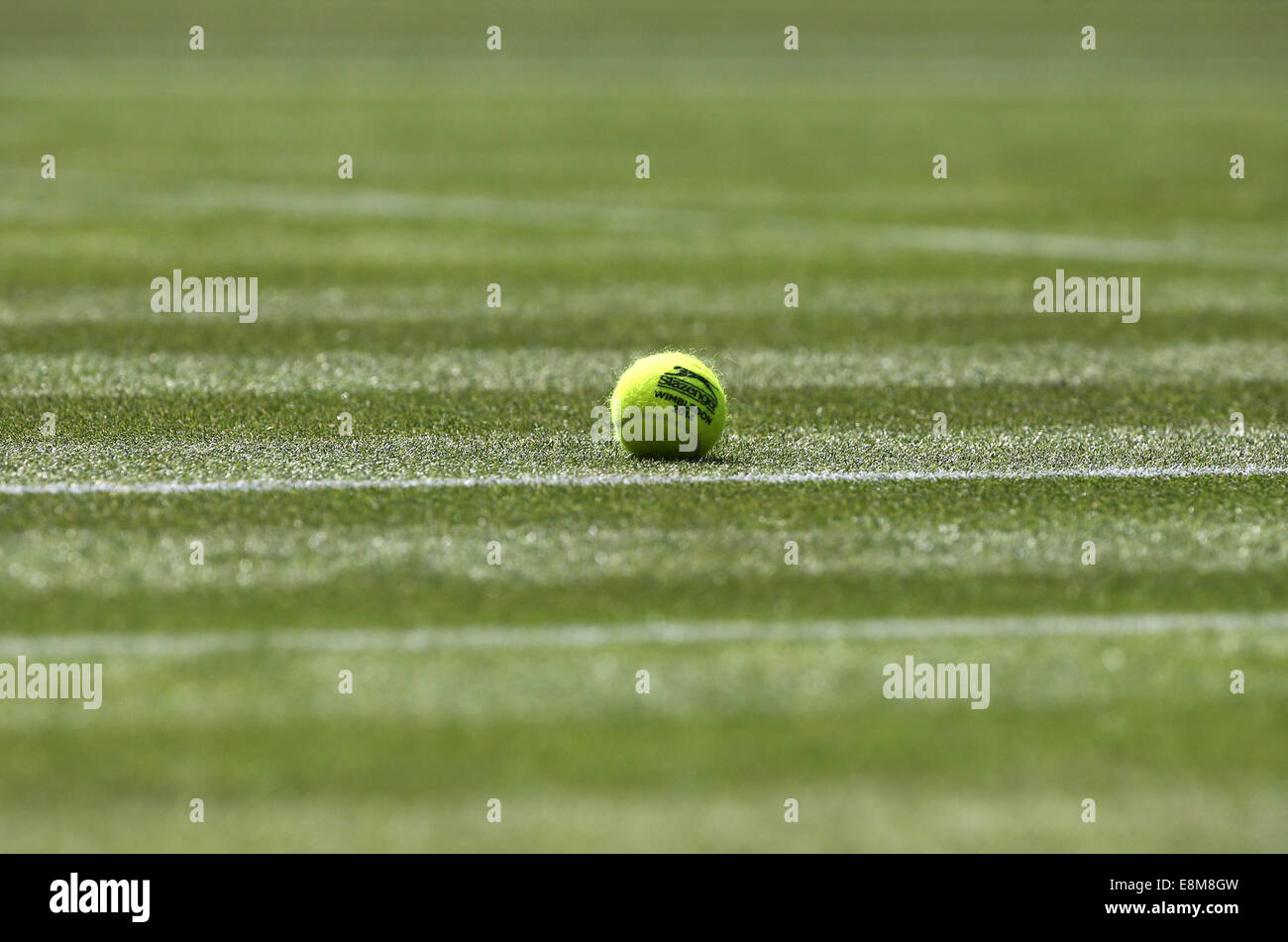 Palla da tennis su erba corte presso i campionati di Wimbledon 2014,Londra,Inghilterra. Foto Stock