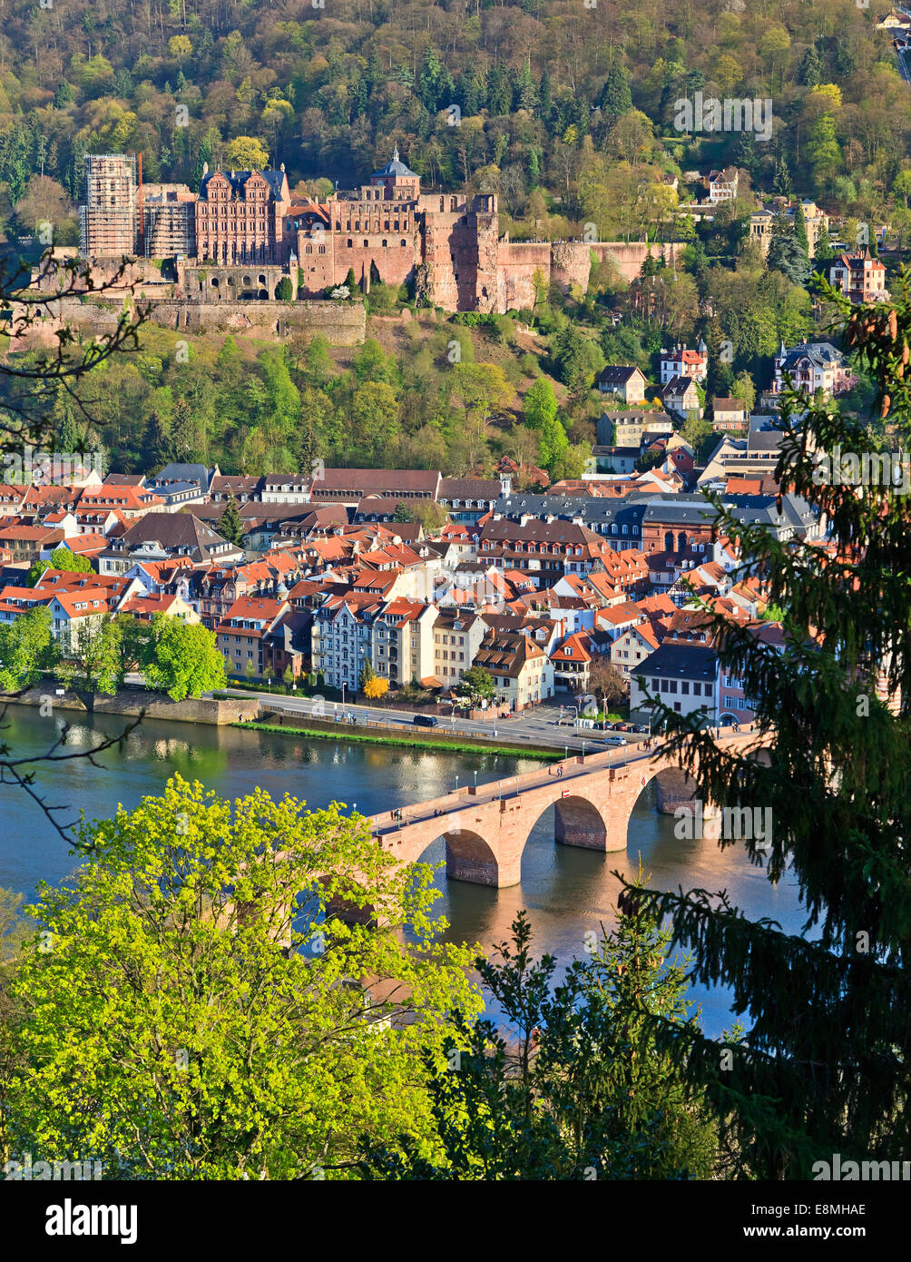 Heidelberg a molla Foto Stock