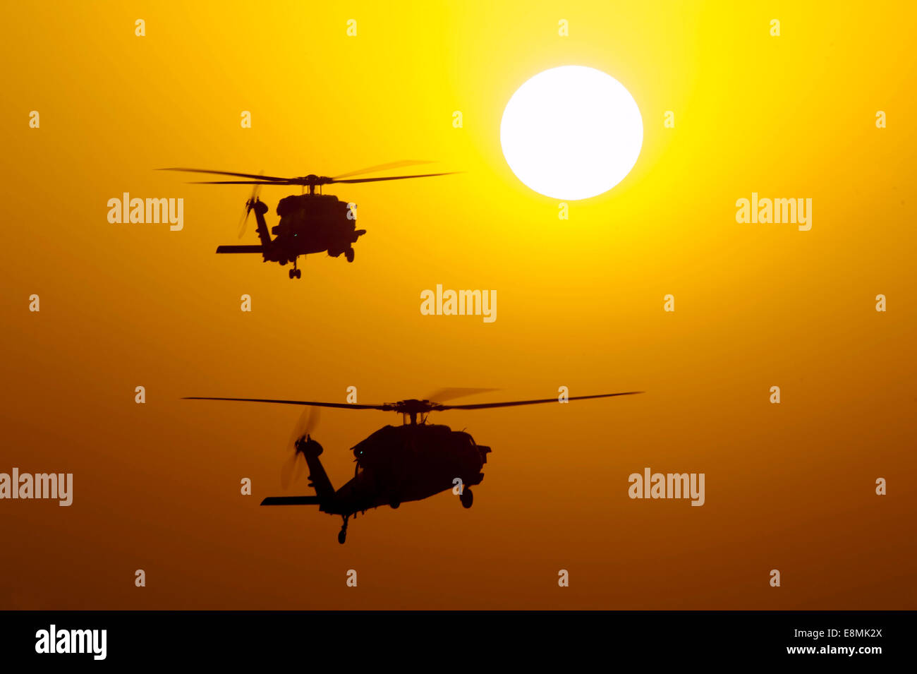 Golfo di Oman, 3 Ottobre 2013 - Un MH-60S Knighthawk elicottero, colore per il primo piano e un MH-60R Sea Hawk elicottero di pattuglia vicino alla a Foto Stock