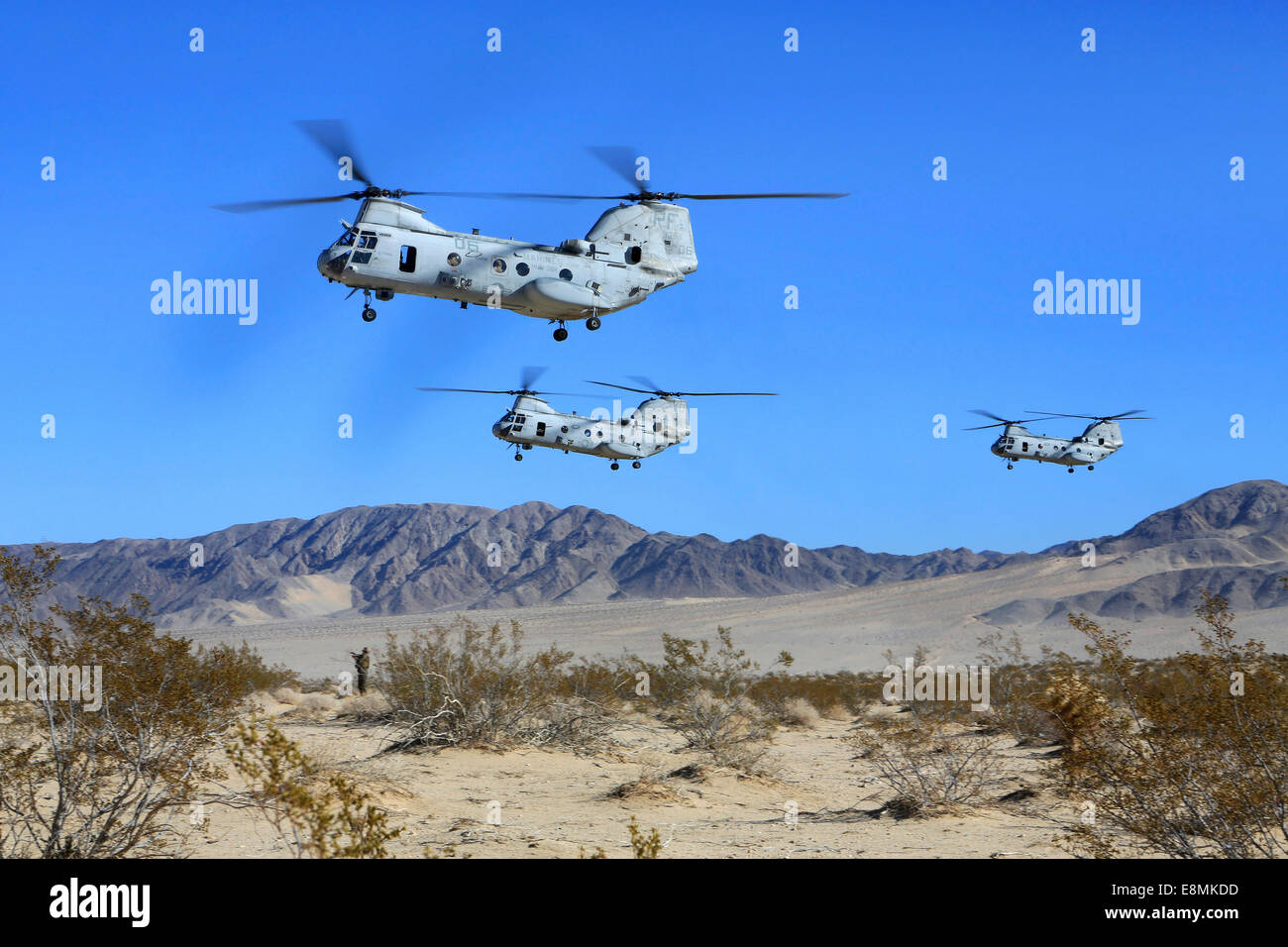 Dicembre 11, 2013 - STATI UNITI Marine Corps CH-46E Sea Knight trasporto elicotteri volare su Camp Wilson al Marine Corps Air Ground Co Foto Stock