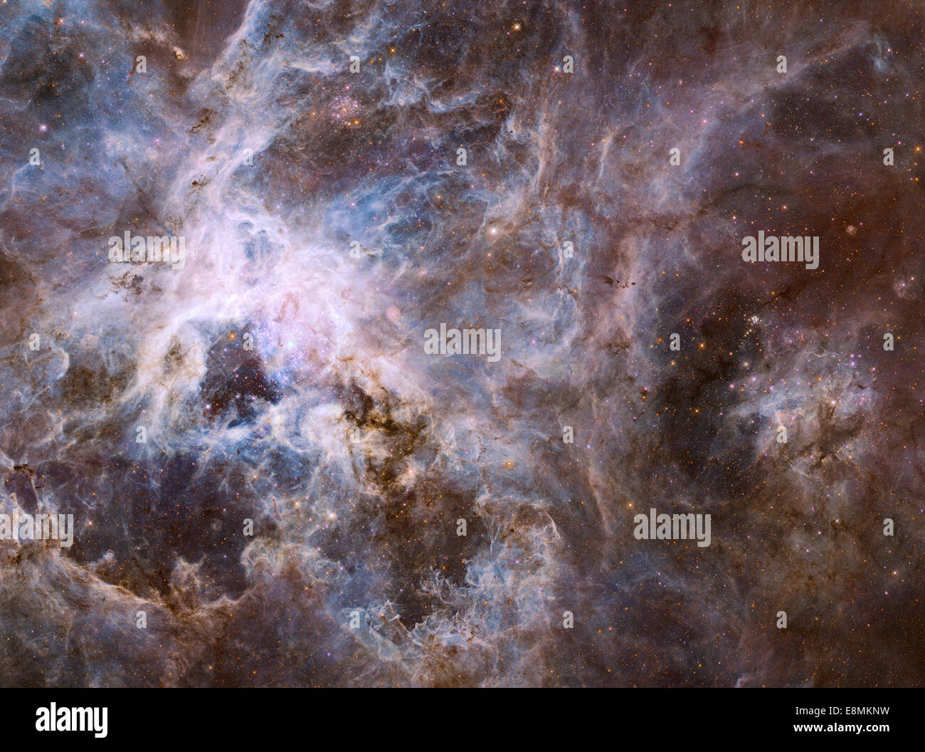 Wf vista di 30 Doradus, coprendo una larghezza di 600 anni luce, mostra una stella fabbrica di più di 800.000 stelle essendo nato. Th Foto Stock
