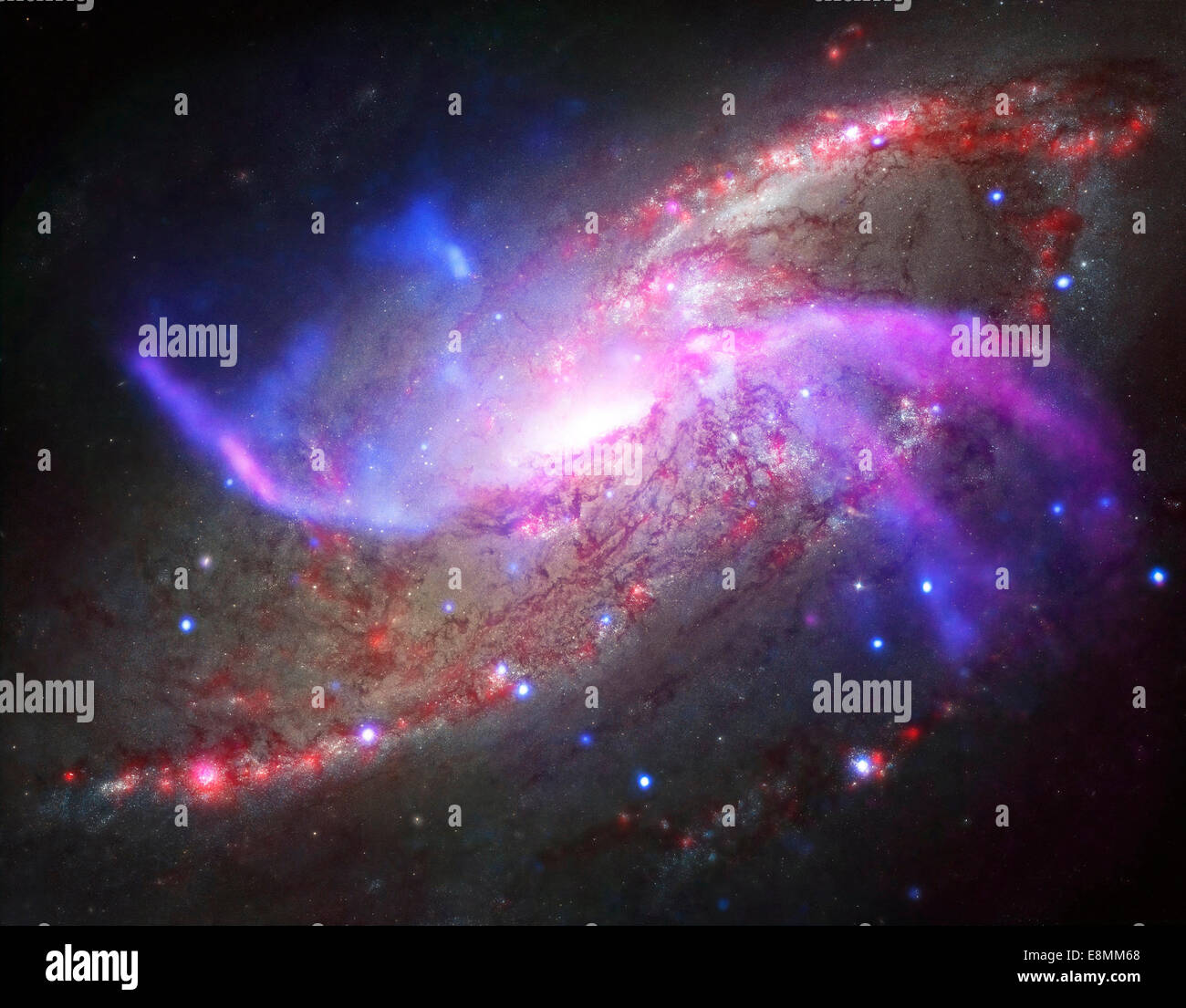 Un galattico light show nella galassia a spirale NGC 4258, noto anche come M106, circa 23 milioni di anni luce di distanza. Questa galassia è famosa, h Foto Stock