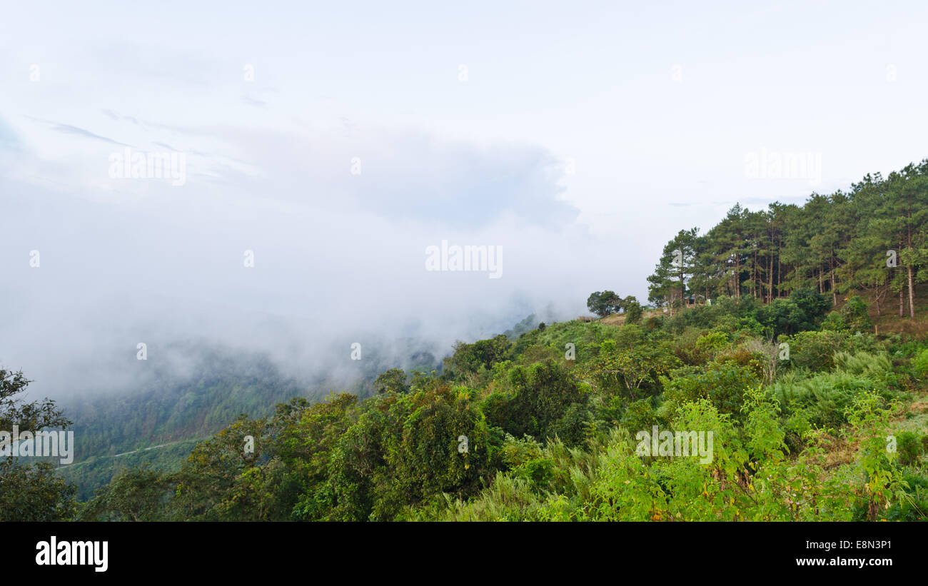 Paesaggio sierra da Doi Ang Khang montagne di mattina in Chiang Mai provincia della Thailandia Foto Stock