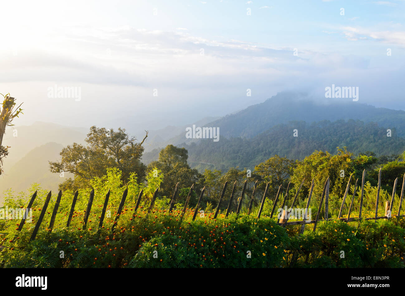 Vista panoramica della natura sul belvedere del Ang Khang montagne in Chiang Mai in Thailandia Foto Stock