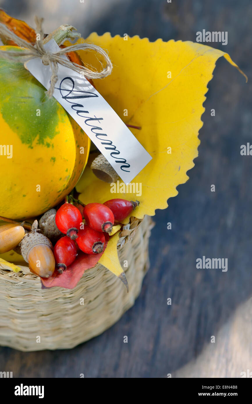 Zucche decorative e foglie di autunno nel cestello Foto Stock