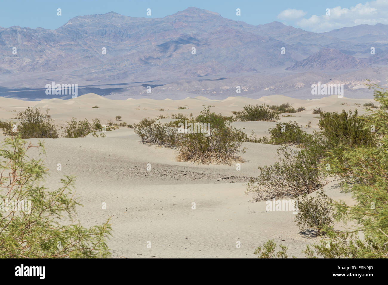 Mesquite Flat dune di sabbia nella Valle della Morte, Deserto Mojave in California, Stati Uniti d'America Foto Stock