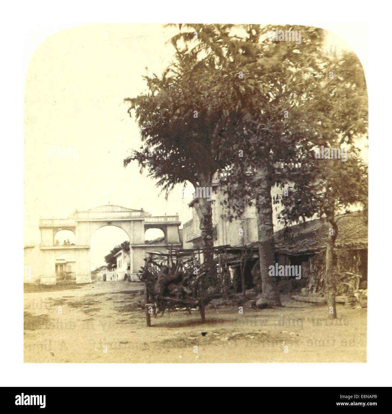 La saldatura 1862 in India PG122 (026 Ingresso del villaggio di Mowl Alii, vicino a Secunderabad, con alberi di Sago-Palm) Foto Stock