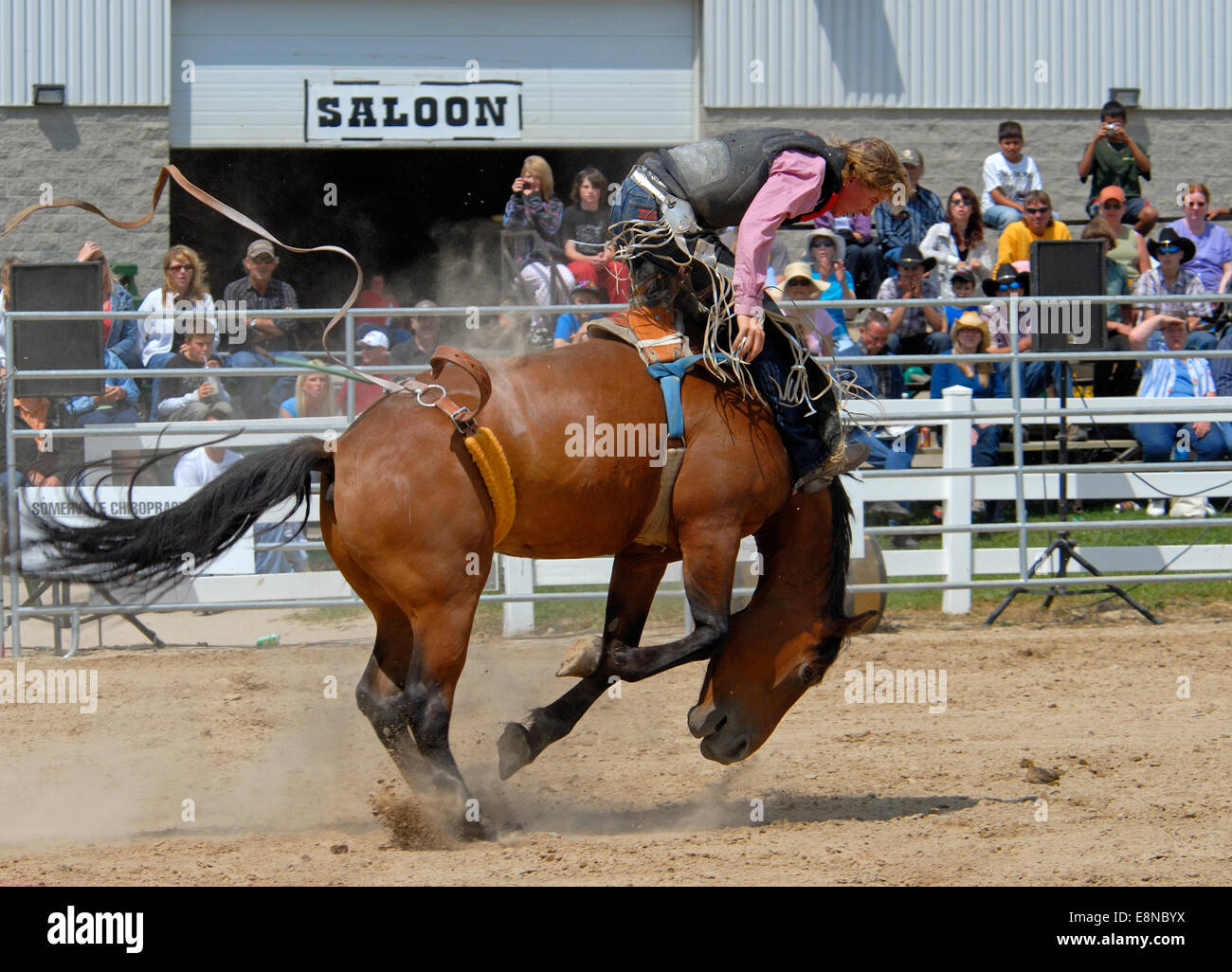 Rodeo bareback Riding Foto Stock