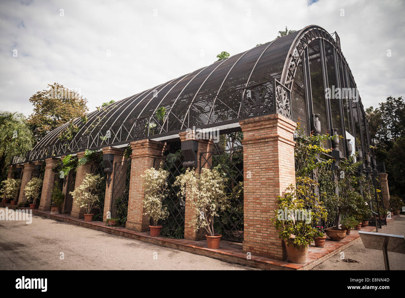 Giardino Botanico, Valencia, Spagna. Foto Stock