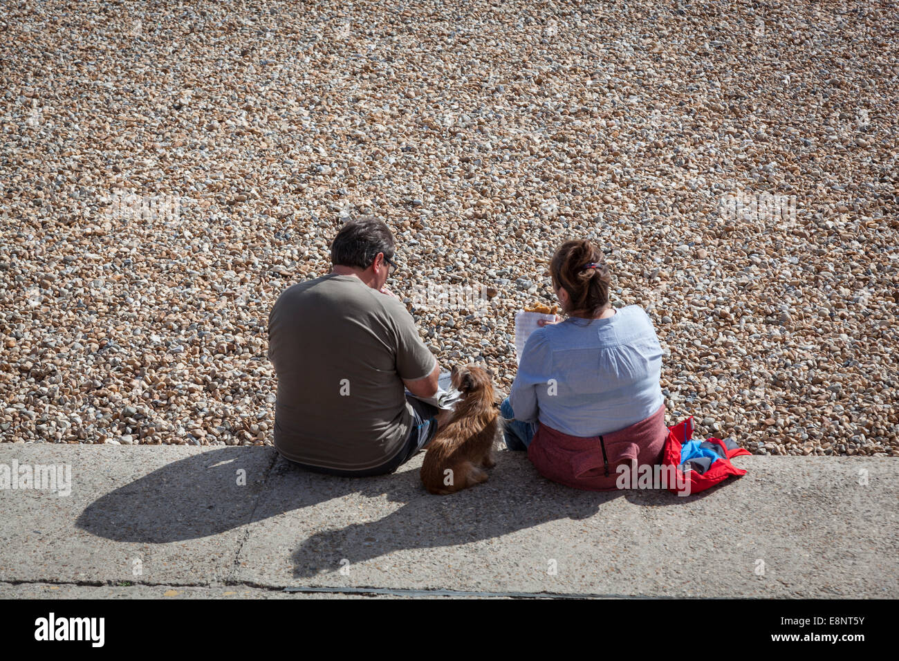 Paio mangiare pesce e patatine mentre seduto sul bordo di una spiaggia di ciottoli con un cane cerca su tra loro. Foto Stock