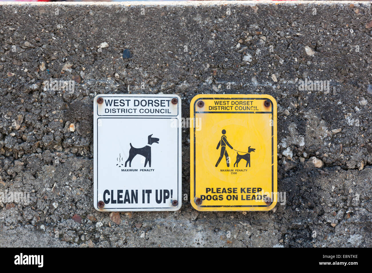 Consiglio avvisi di avvertimento per i proprietari di cani per quanto riguarda le sanzioni per i loro cani le incrostazioni e non essendo su una derivazione. Foto Stock