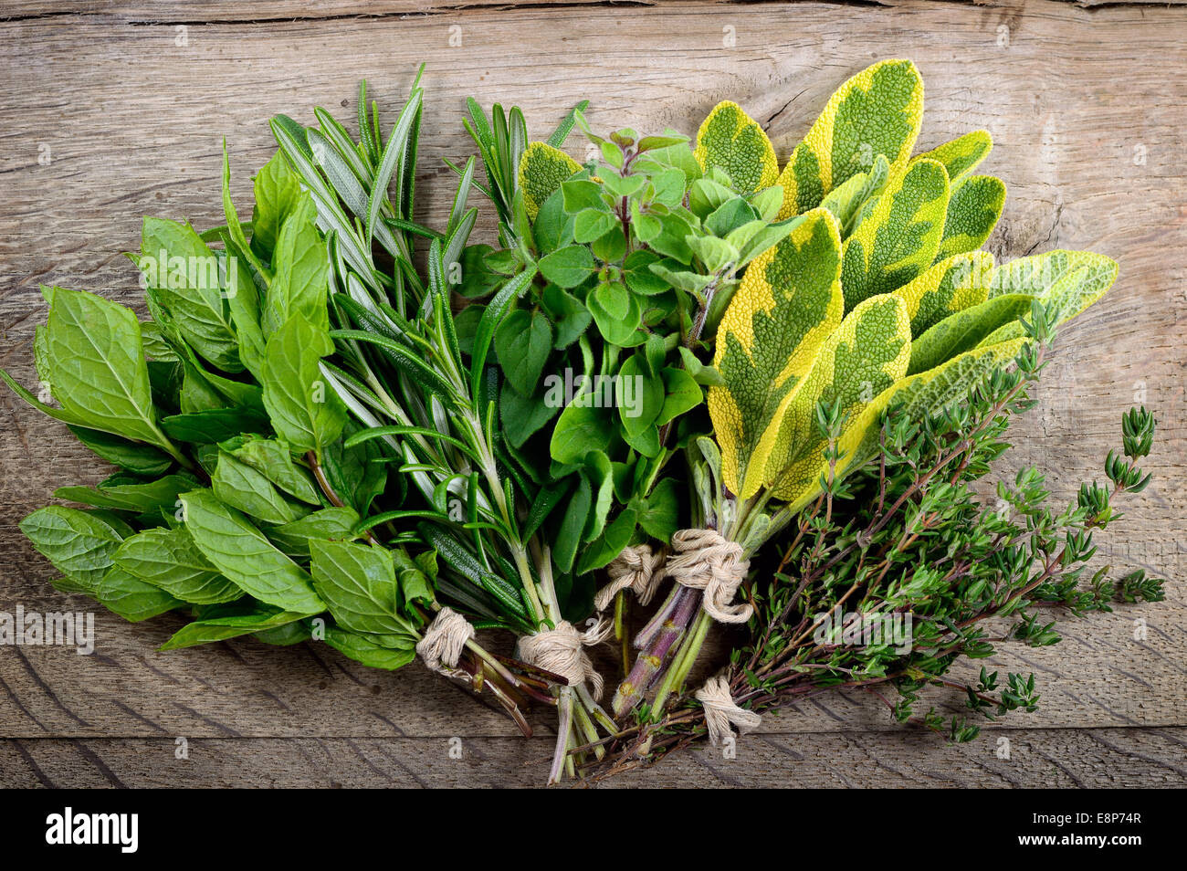 Appena raccolto erbe, mazzetto di erbe aromatiche fresche su sfondo di legno. Foto Stock