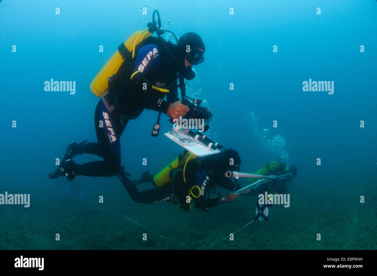 Professional subacquei eseguire un sondaggio sottomarino del Mediterraneo fondali marini Foto Stock