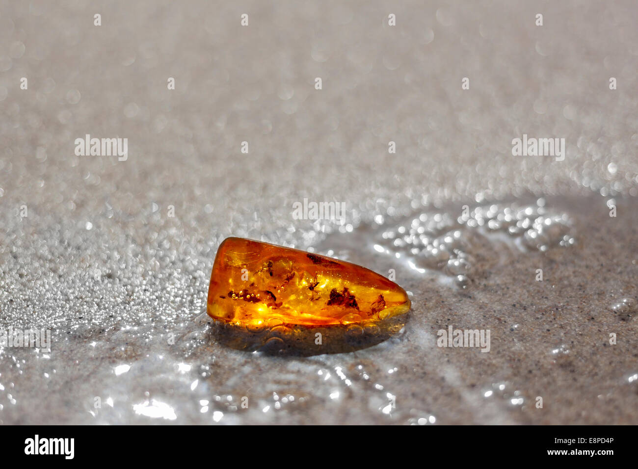 Ambra baltica sabbia acqua insetti sfondo di inclusione Foto Stock