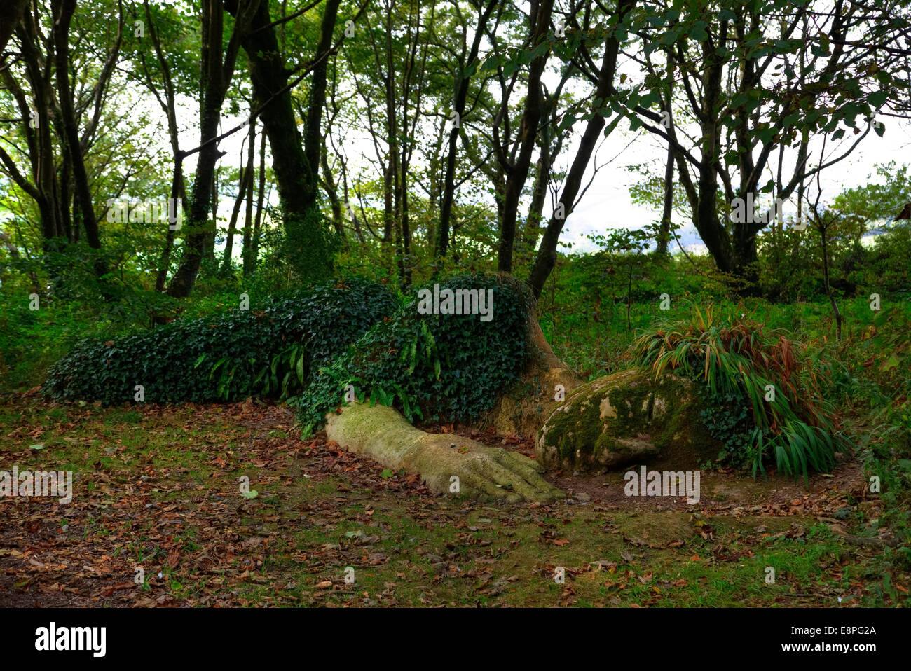 Lost Gardens of Heligan, Mevagissey, Cornwall, England, Regno Unito Foto Stock