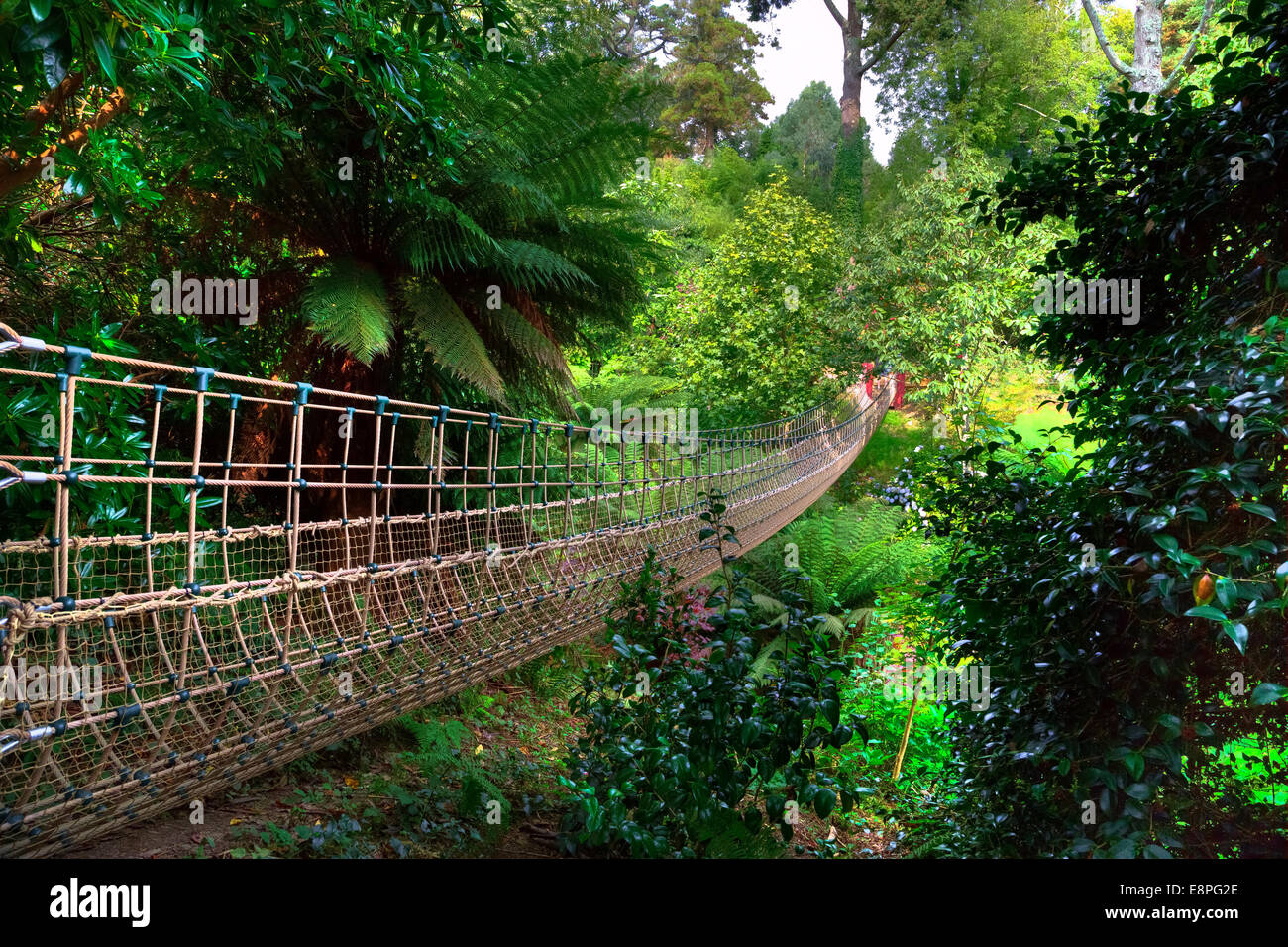 Lost Gardens of Heligan, Mevagissey, Cornwall, England, Regno Unito Foto Stock