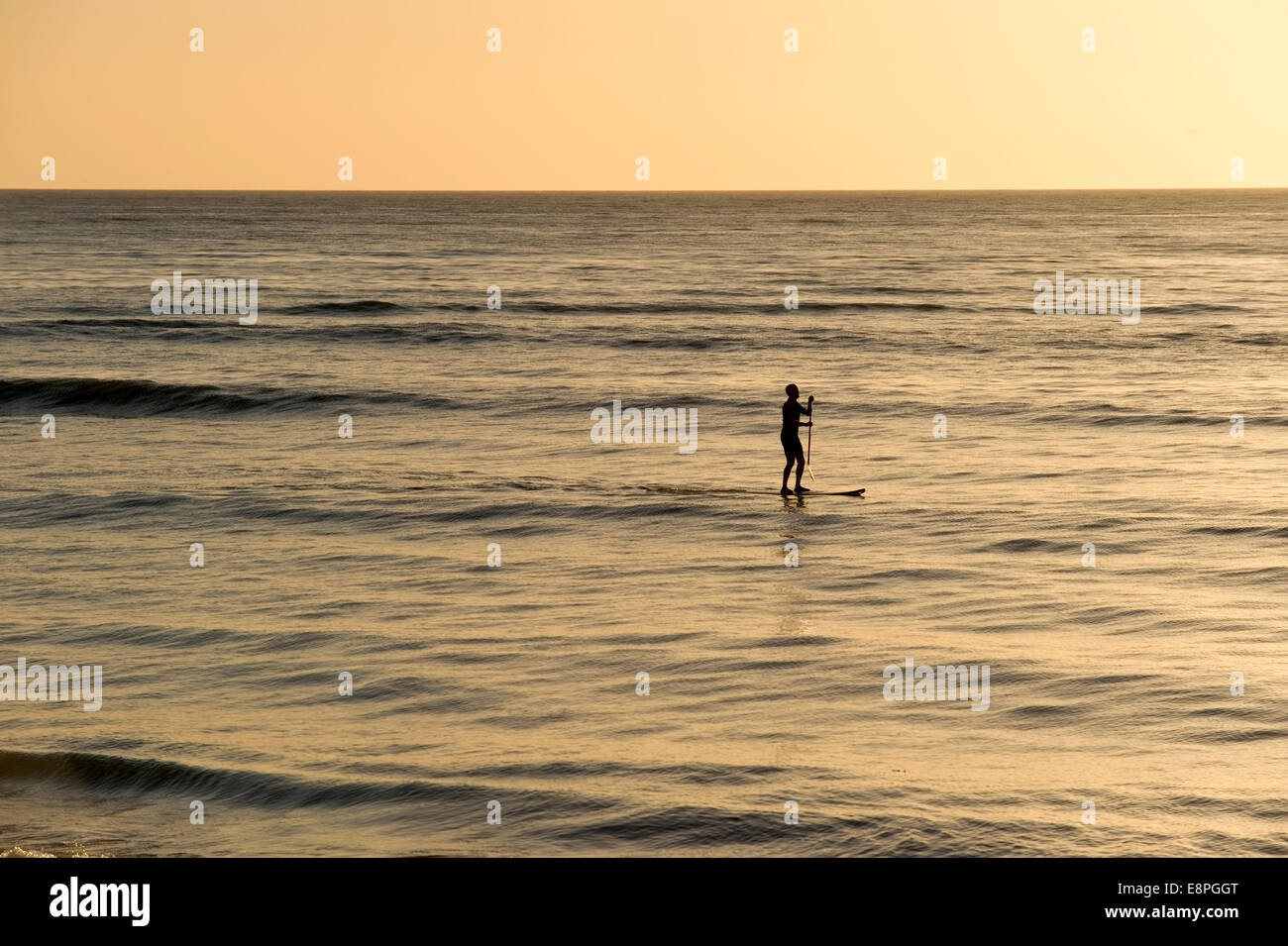 Tramonto sul mare stand up paddle surf board Foto Stock