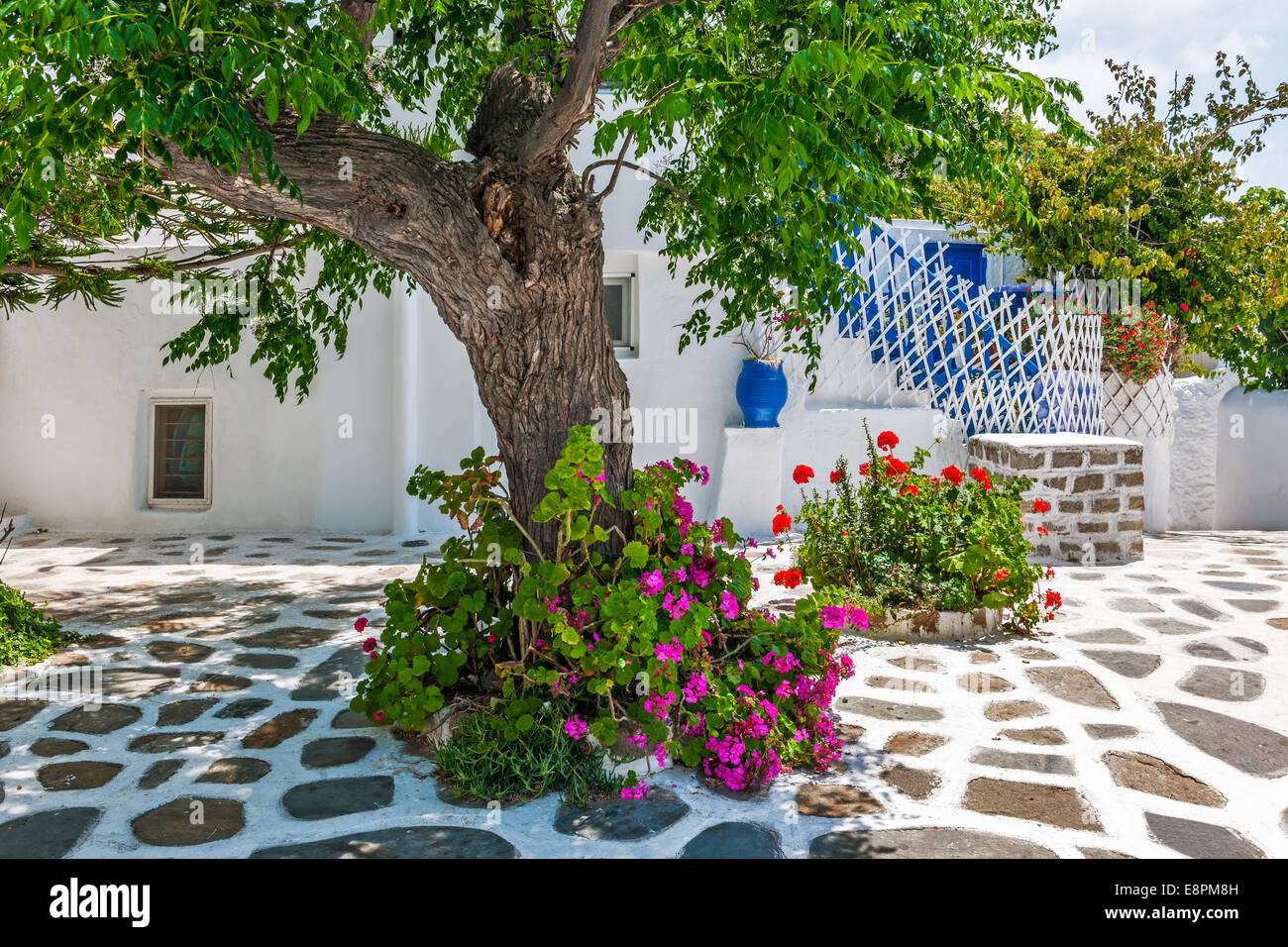 Tree-quadrato ombreggiato in Mykonos città vecchia, Cicladi Grecia Foto Stock