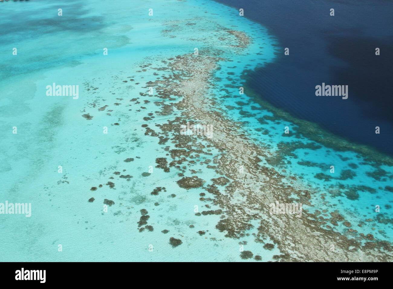 Vista aerea dell'acqua turchese e reef Foto Stock