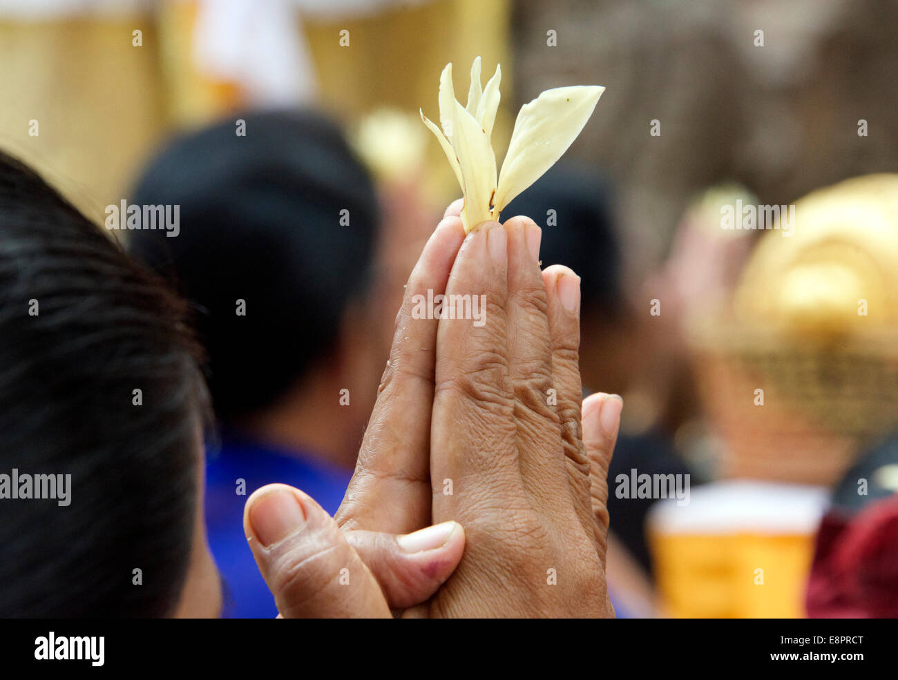 Close-up donna di mani pregando nel tempio Ubud Bali Indonesia Foto Stock