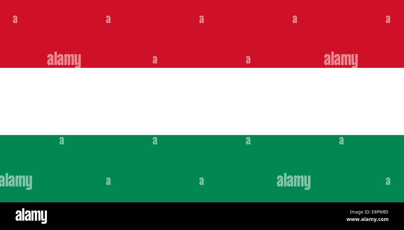 Bandiera dell'Ungheria - rapporto standard bandiera ungherese - modalità colore RGB reale Foto Stock