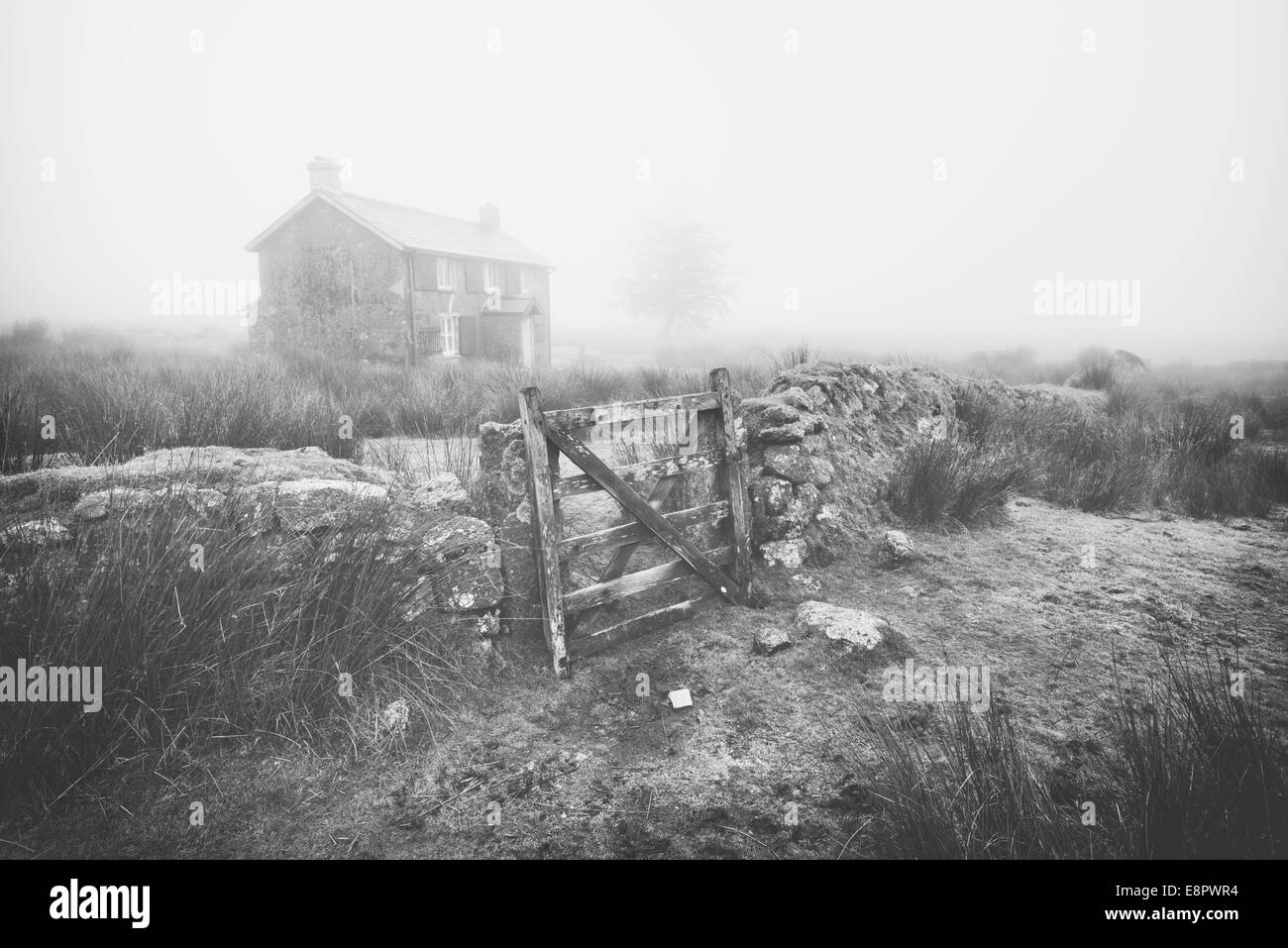 Le monache AGRITURISMO INCROCIATA, Dartmoor Devon Foto Stock