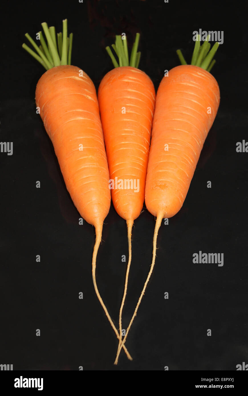 Un display a tre di colore arancio brillante carote vegetali. Foto Stock