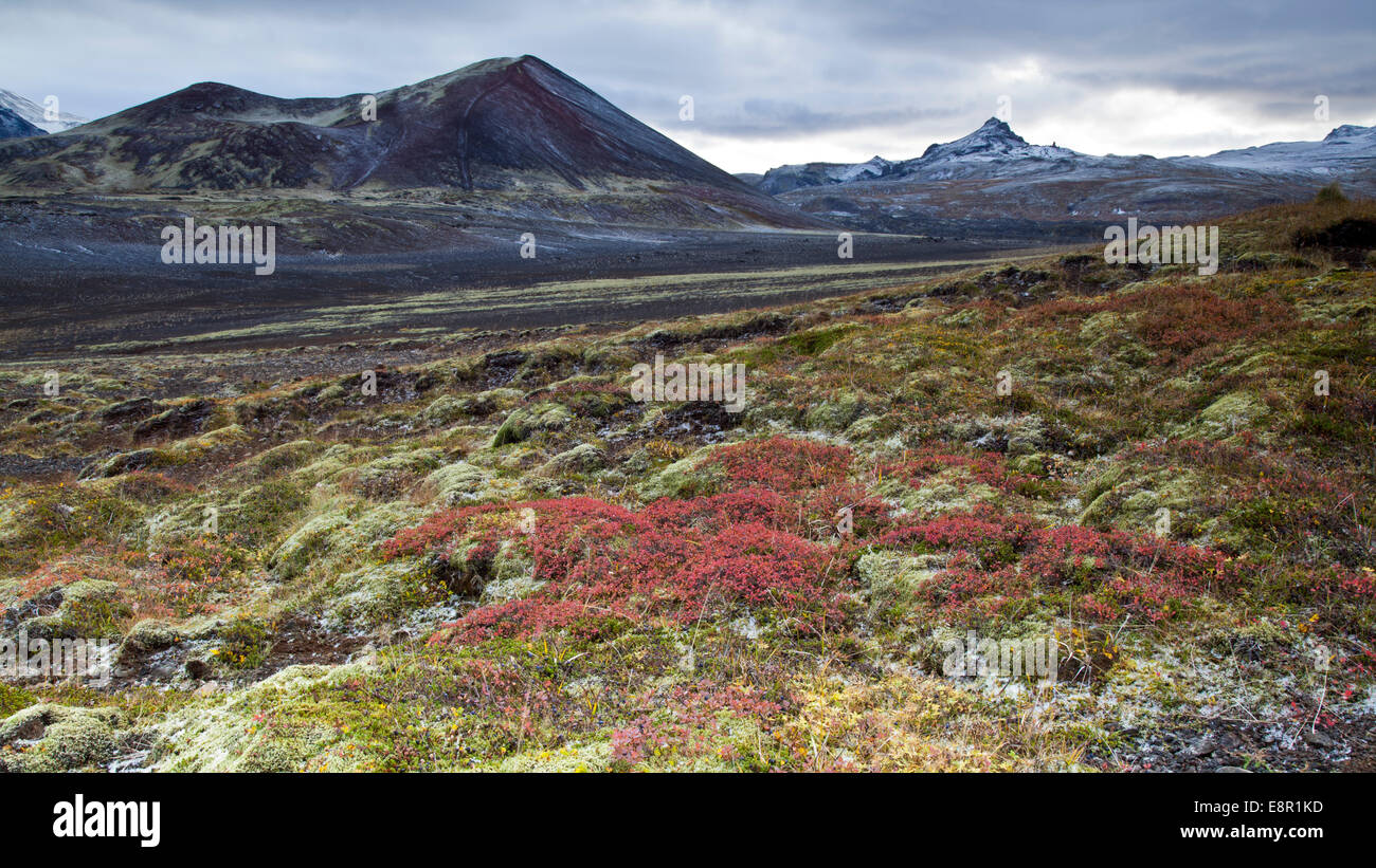 Snaefellsnes Peninsula, West Islanda Foto Stock