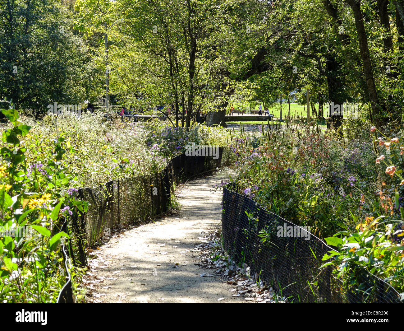 Percorso attraverso il giardino comunale in un parco pubblico in Hyde Park in inizio di caduta in Chicago, IL, Stati Uniti d'America. Foto Stock
