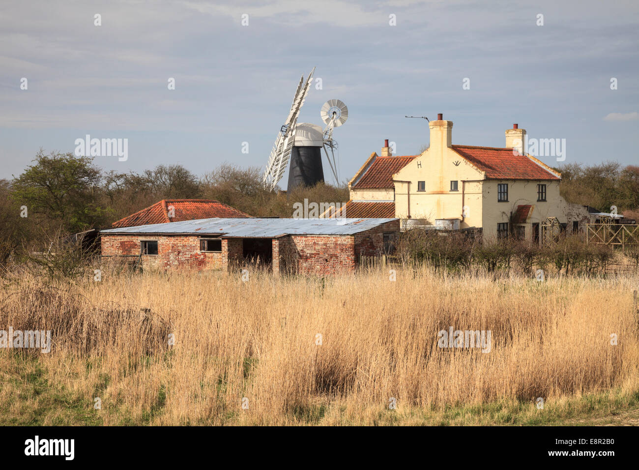 Polkey's Farm e mulino di drenaggio nel Parco nazionale di Broads, Norfolk, Inghilterra. Foto Stock