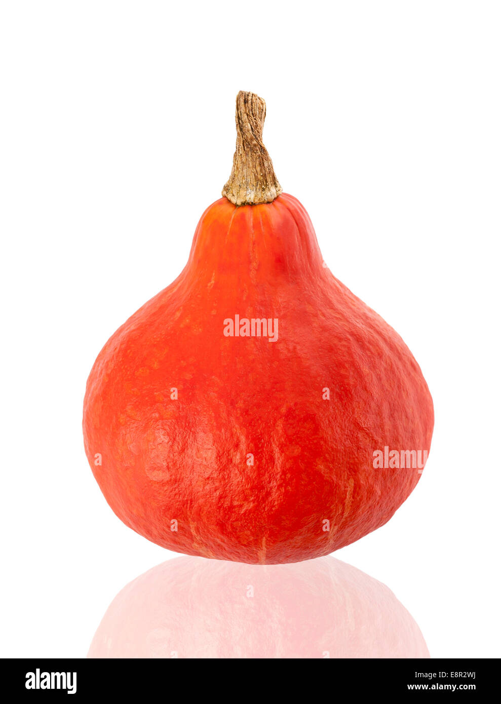 Red kuri squash isolati su sfondo bianco Foto Stock