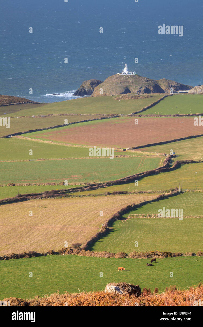 Una vista del faro sulla Strumble Head in Il Pembrokeshire Coast National Park catturate da Garn Fawr. Foto Stock
