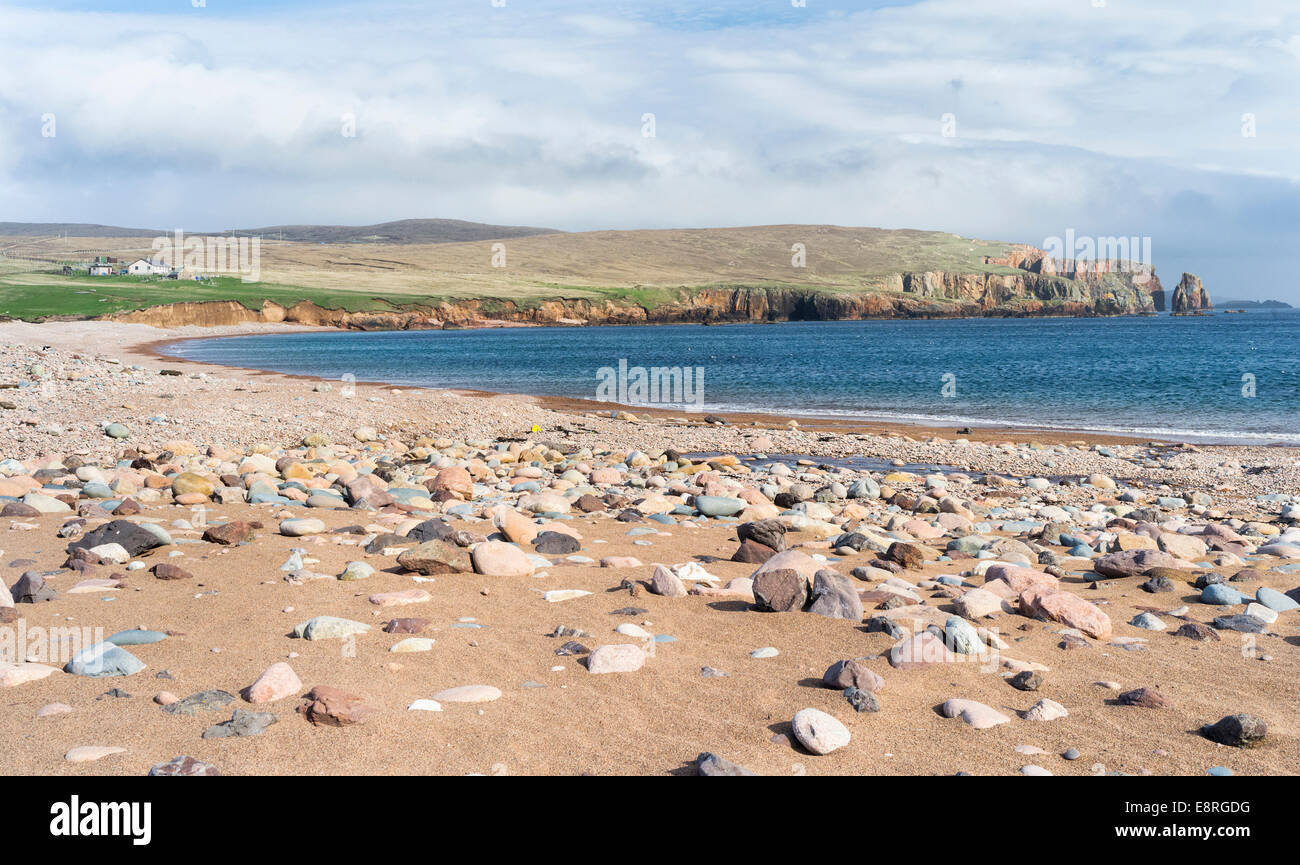 Paesaggio sulla penisola di Eshaness, le rocce rosse del Neap, isole Shetland, Scozia. Foto Stock