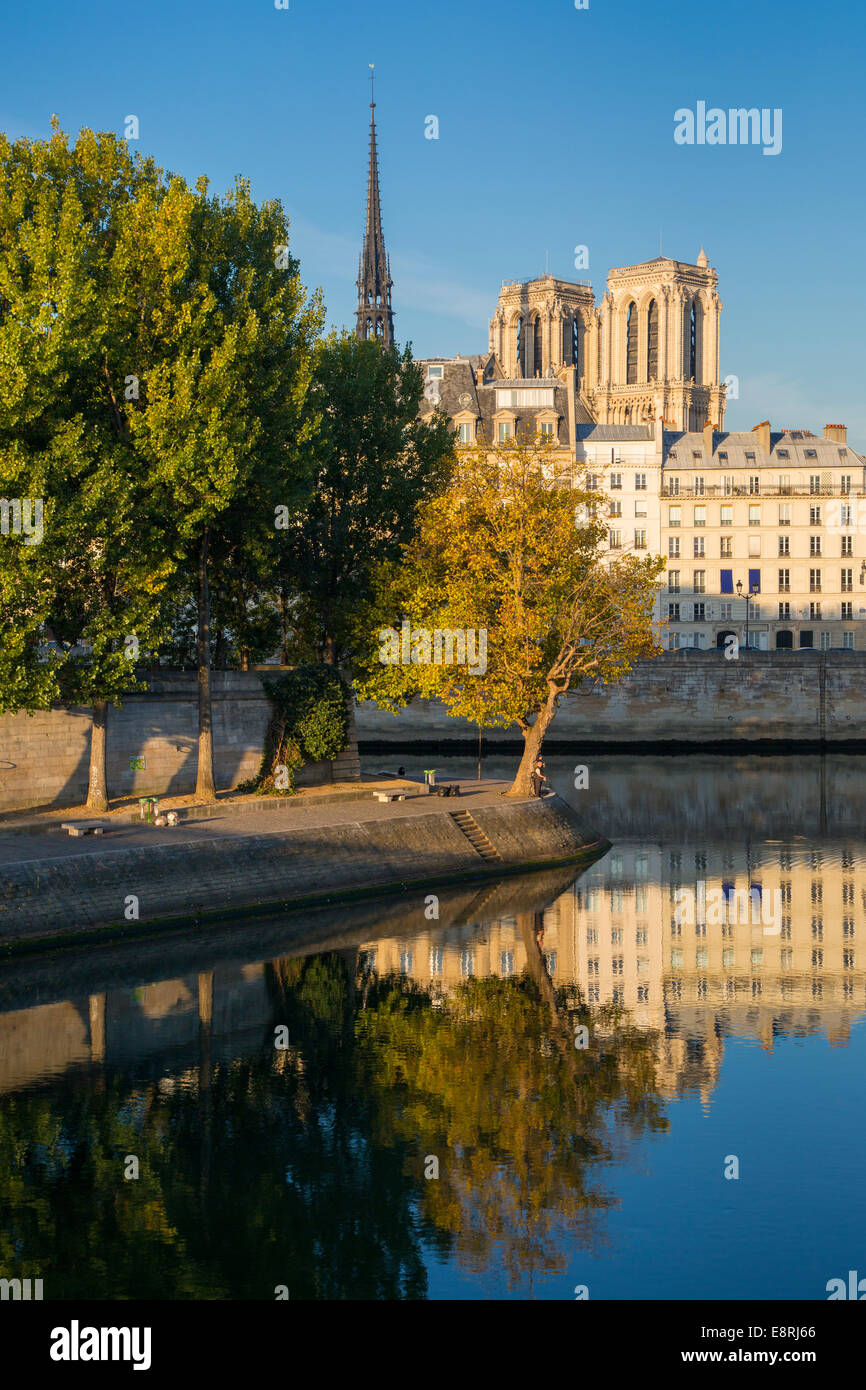 La mattina presto lungo una tranquilla Fiume Senna con la cattedrale di Notre Dame al di là, Parigi, Francia Foto Stock