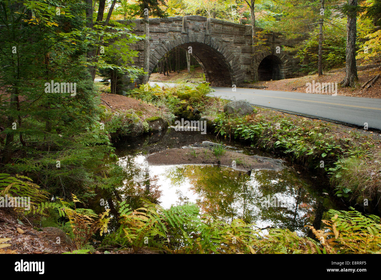 Il ponte di pietra - Acadia National Park - Bar Harbor, Maine, Stati Uniti d'America Foto Stock