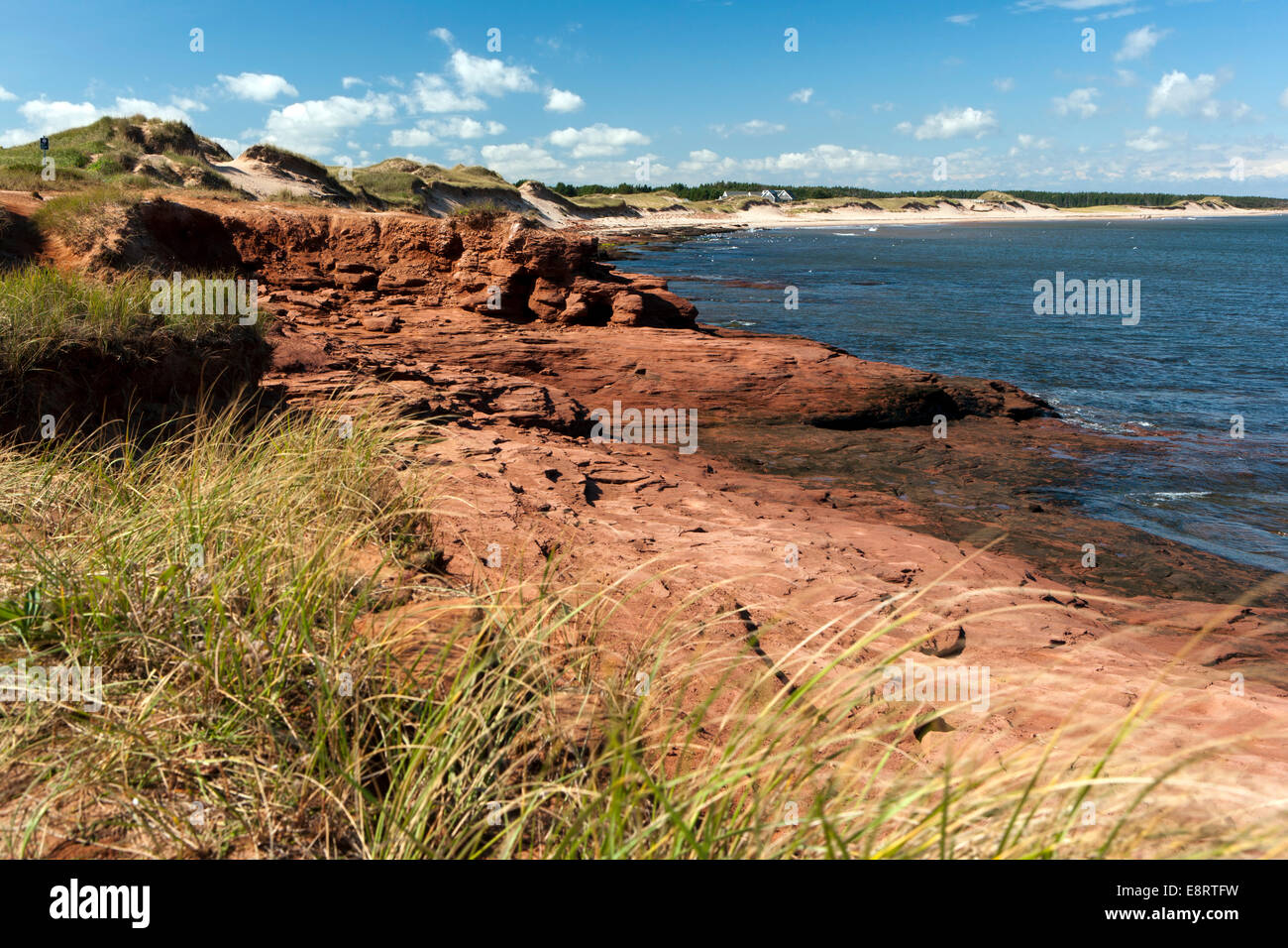 Cavendish - Prince Edward Island National Park - Prince Edward Island, Canada Foto Stock