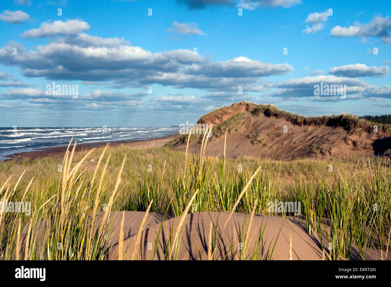 Dune di sabbia sulla spiaggia di Brackley - Prince Edward Island, Canada Foto Stock