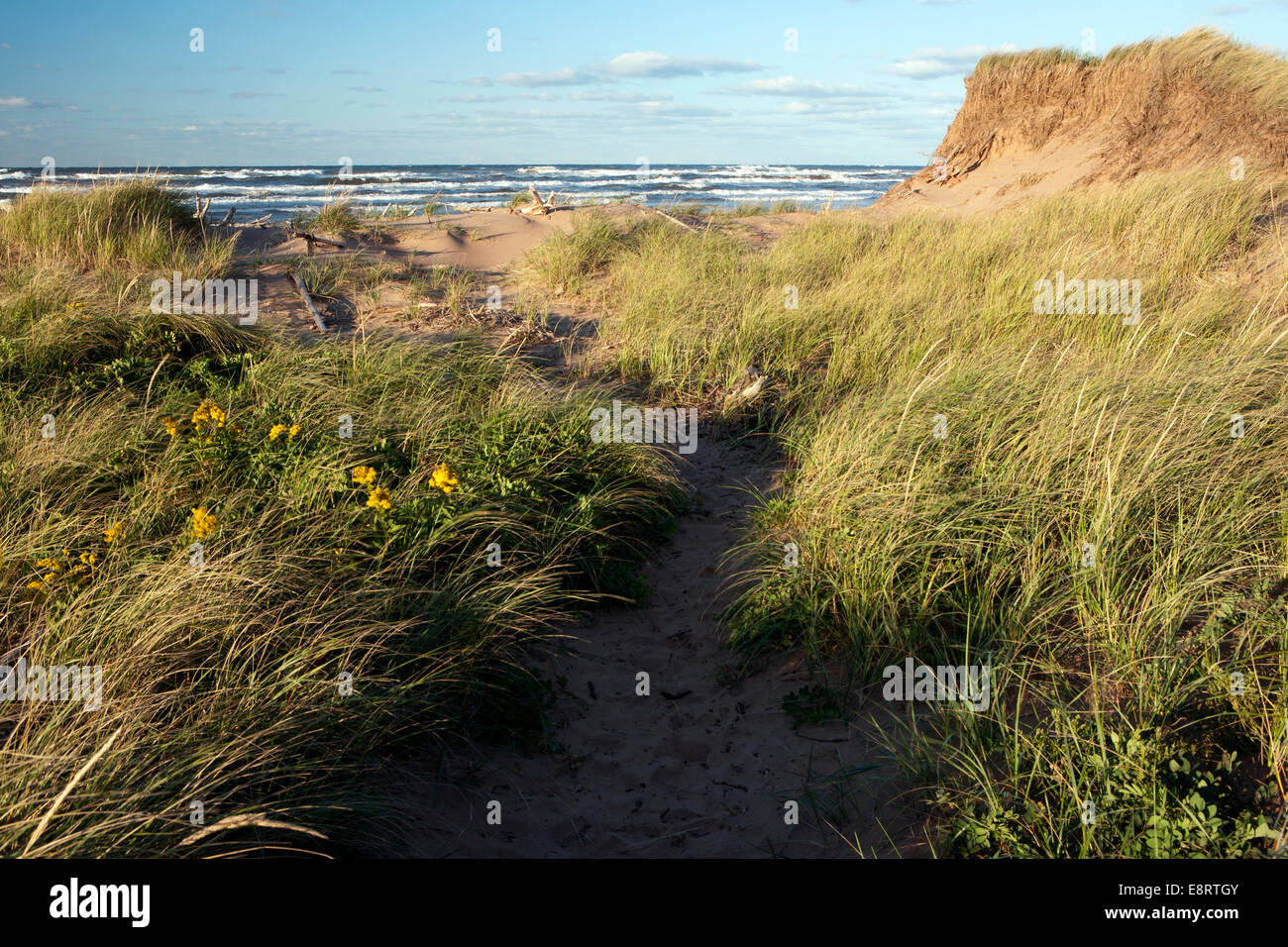 Brackley Beach - Prince Edward Island, Canada Foto Stock