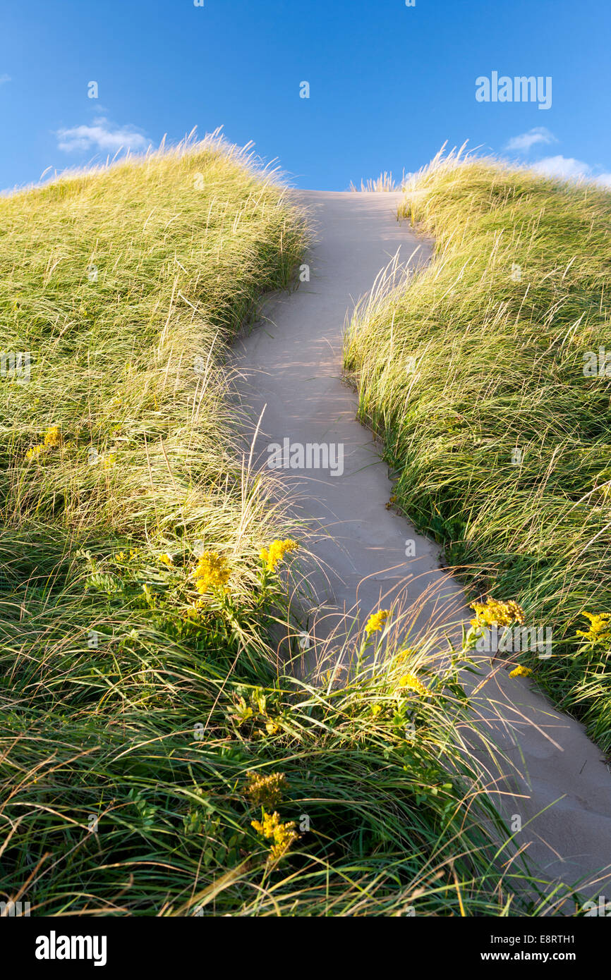 Le dune di sabbia sulla spiaggia di Brackley - Prince Edward Island, Canada Foto Stock