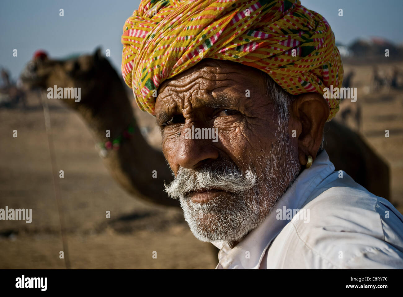 Ritratto di un uomo vecchio con il camel in background, Pushkar, Ajmer, Rajasthan, India Foto Stock