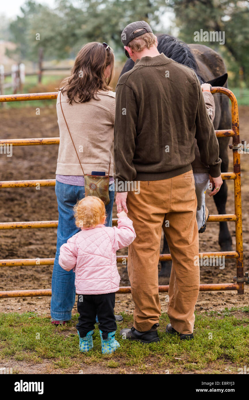 U-pick apple farm su un giorno in autunno. Foto Stock