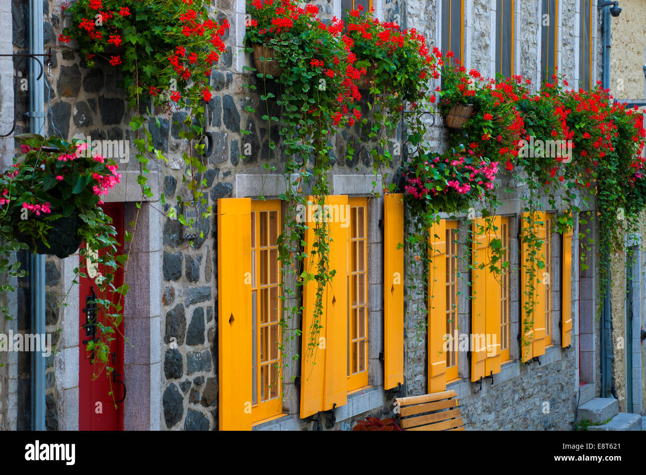 Vecchia casa di pietra con persiane di colore giallo, Rue du Petit Champlain, Città Bassa, Quebec, Canada Foto Stock