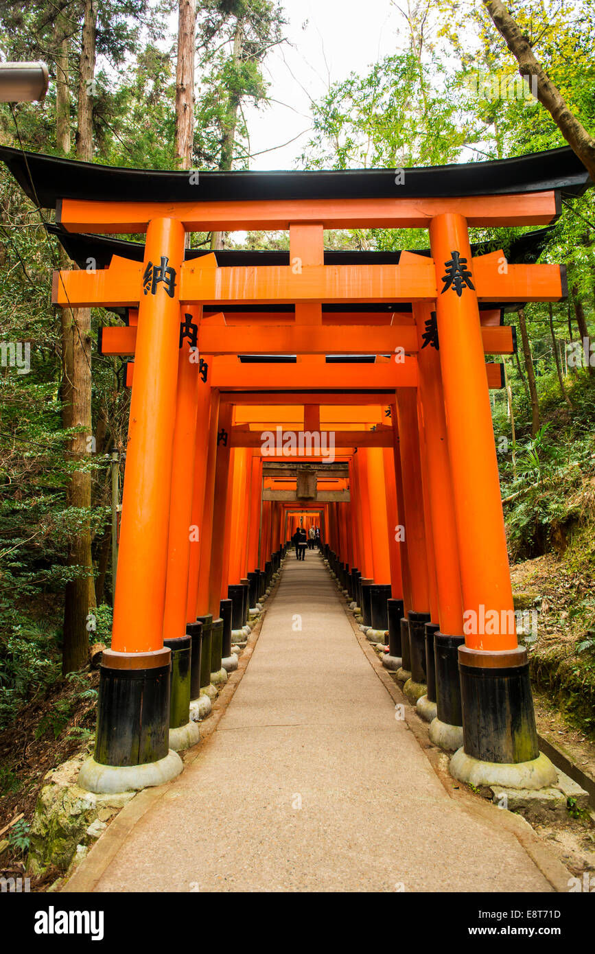 Torii o porte che conduce al santuario interiore, Fushimi-inari Taisha, Kyoto, Giappone Foto Stock